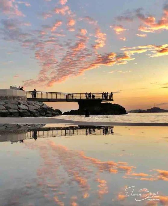 Plage Des Catalans/Vieux Port 马赛 外观 照片